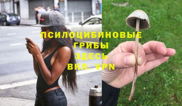 дживик Алзамай