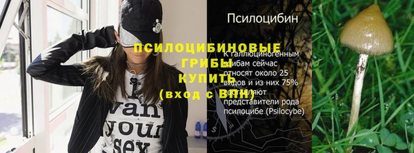 винт Алексин