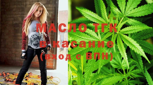 винт Алексин